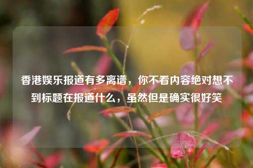 香港娱乐报道有多离谱，你不看内容绝对想不到标题在报道什么，虽然但是确实很好笑