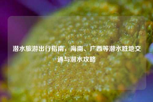 潜水旅游出行指南，海南、广西等潜水胜地交通与潜水攻略